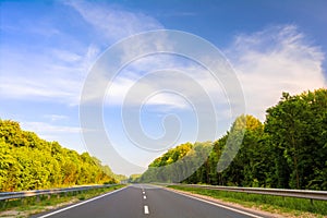 High-speed highway in the woods. Summer landscape