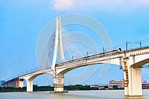 High speed railway stayed cable bridge