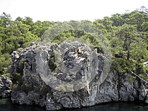 A high stone cliff overhangs the turquoise water of the river. On top of the rock grow low spreading trees