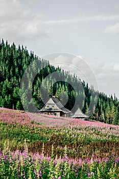 High Tatra Mountains