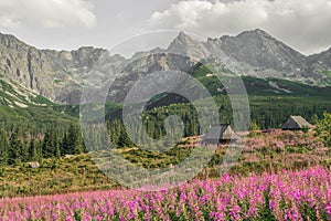 High Tatra Mountains