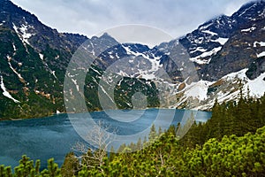 High Tatra Mountains lake forest rocks Carpathians