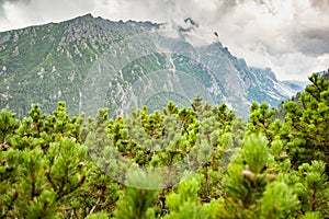 High Tatra mountains peak with the blue sky and clouds on the background in Slovakia. Tourist trails for hiking in