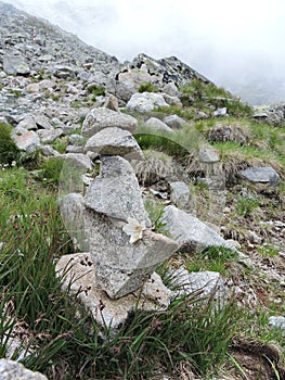 High Tatra Mountains, Slovakia