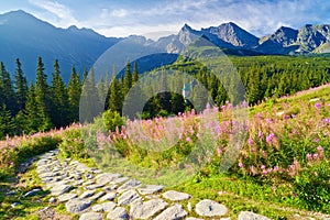 High Tatra Mountains trail landscape nature Carpathians Poland