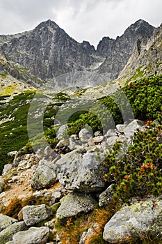 High Tatra mountains view