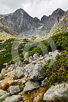 Výhľad na Vysoké Tatry