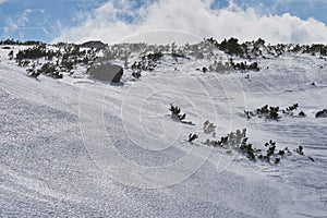 High Tatra mountains in winter