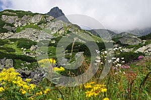 Vysoké Tatry