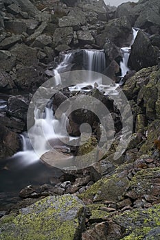 High Tatras, The Great Cold Valley - water in a mountain stream in Velka Studena valley - Cold stream. Beautiful Slovakia