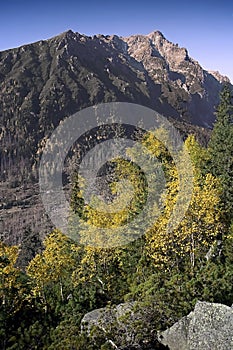 High Tatras, Mala Studena valley: colors autumn under Lomnicky Peak