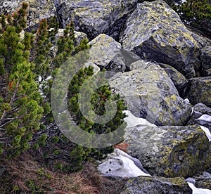 High Tatras mountains