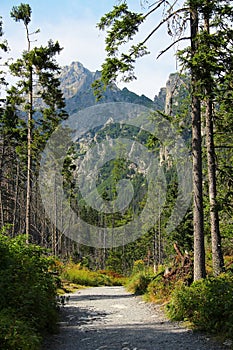 High Tatras mountains, Slovakia