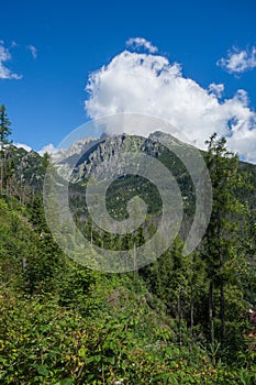 Vysoké Tatry