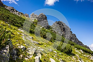 Vysoké Tatry