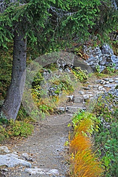 High Tatras mountains, Slovakia