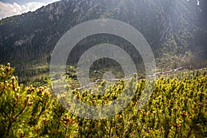 Vysoké Tatry Vysoké Tatry, Tatry Wysokie, Magas-Tatra sú pohorím pozdĺž hranice Slovenska v Pred