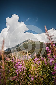 High Tatras nature