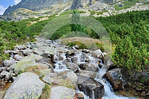 High Tatras nature