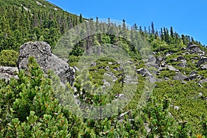 High Tatras