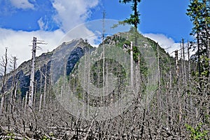 Vysoké Tatry