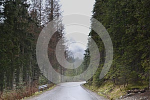 High Tatras in Poland, on the road towards Morskie Oko