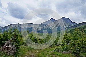 Vysoké Tatry