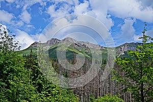 Vysoké Tatry