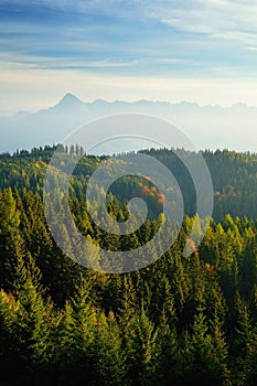 High Tatras scenery