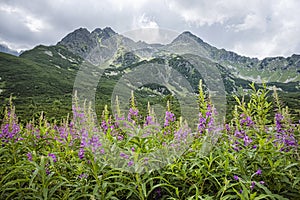 High Tatras scenery, Slovakia, seasonal nature