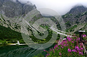 The High Tatras. Slovakia. Beautiful green lake