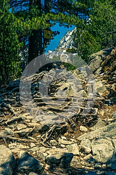 High Tatras photo