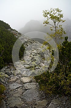 High Tatras, Velka Studena valley: scenes on a hike to Zbojnicka cottage