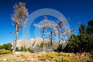 High Tatras