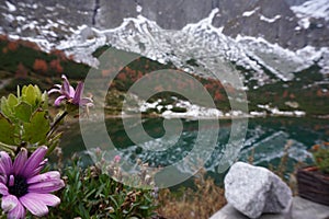 High Tatras and Zelene Pleso Green water lake with Belianske Tatry background, Chata pri Zelenom Plese Slovakia. Autumn with snow