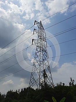 High Tension Power Lines through jungle