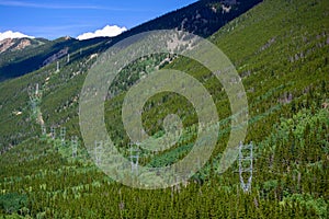 High Tension Power lines on a Mountain Covered in Pine Trees