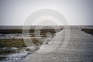 High tide causeway to Mando Island in Denmark.