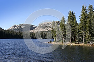 High Uinta mirror lake with tree