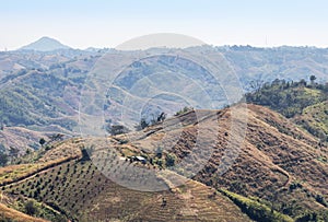 The hills of rainforest with deforestation for farming at Khao Kho, Phetchabun Province,Thailand photo