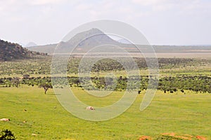 High view of the savannah and hills