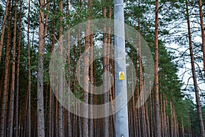 High voltage electric pole in the forest