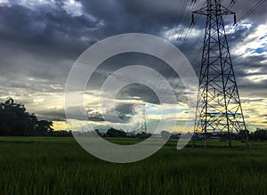 High voltage electric power pole through the rice field in the evening.