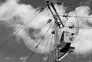 High voltage electrical power cables and insulators seen on wooden poles.