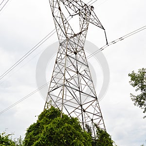 High voltage electricity cables detail, green ivy vegetation and clean sky