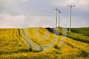 High voltage electricity poles