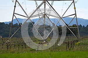 High voltage electricity pylon in a rural area