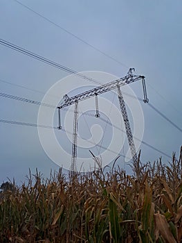 High voltage electricity pylon and transmission power line and a Parts of electrical equipmen