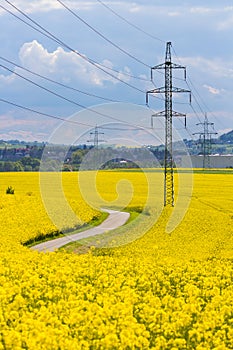 High-voltage electricity pylons in yellow oilseed field