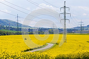 High-voltage electricity pylons in yellow oilseed field